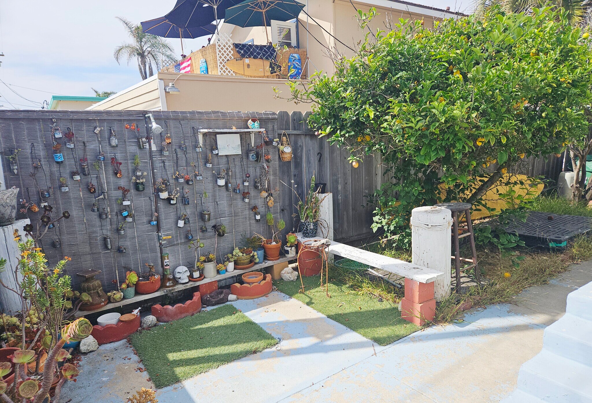 Private garden oasis in back of apartment with 2 lemon trees & an outdoor shower. - 934 S Myers St