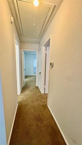 Building Photo - 107 Glade Shadow Dr