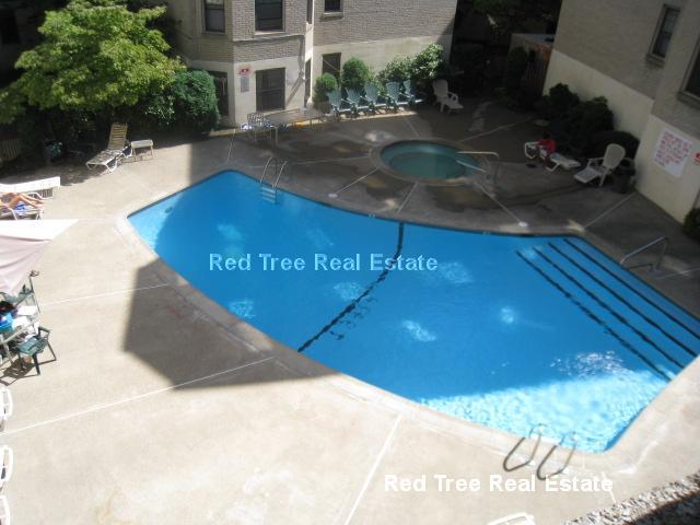 Building Photo - 370 Chestnut Hill Ave