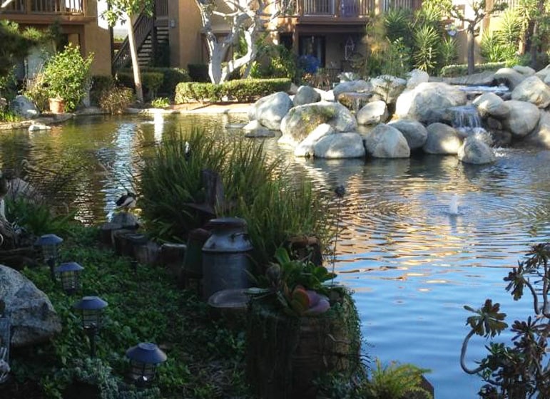 Building Photo - 184 Tangelo