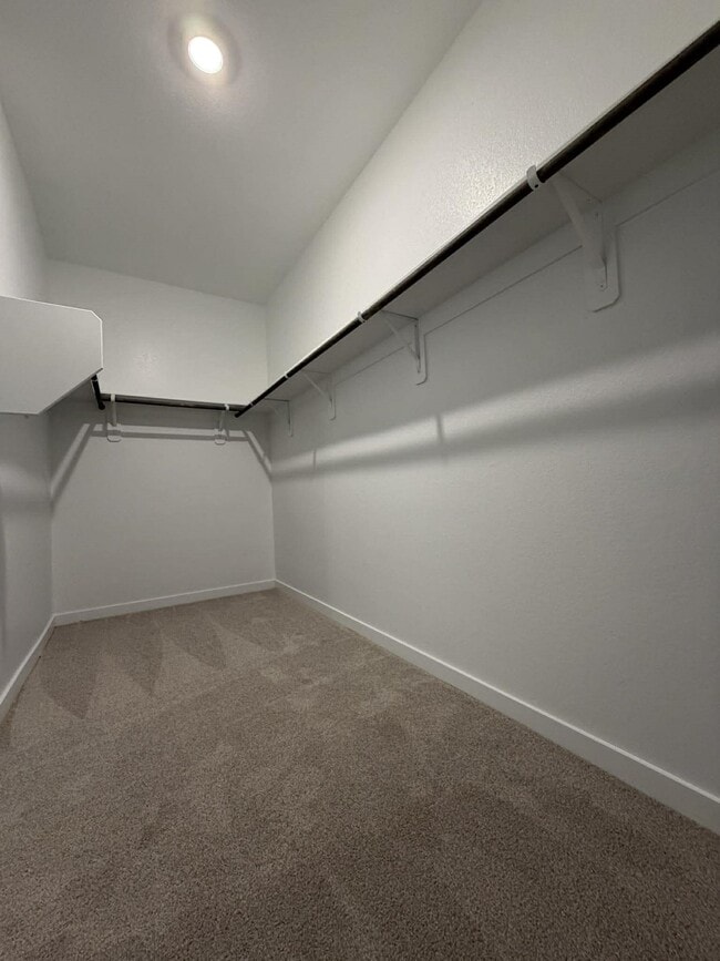 Building Photo - 2527 Gray Gale Ct