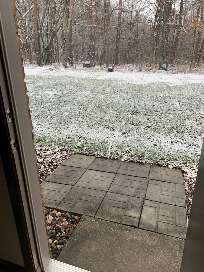 Backyard - 475 W Mae Rose Ave