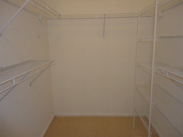 Building Photo - 1736 Terra Cota Ct