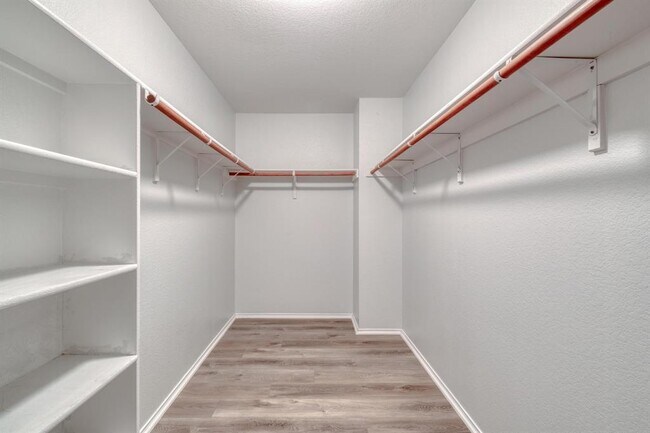 Building Photo - 9104 China Rose Dr