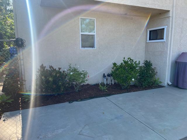 Water-friendly, native flora in back yard - 2812 Anchor Ave