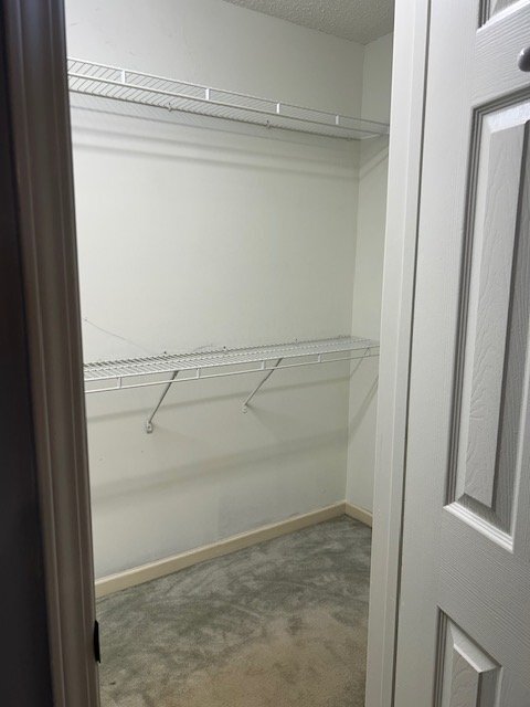 Building Photo - 4138 Stumberg Ln