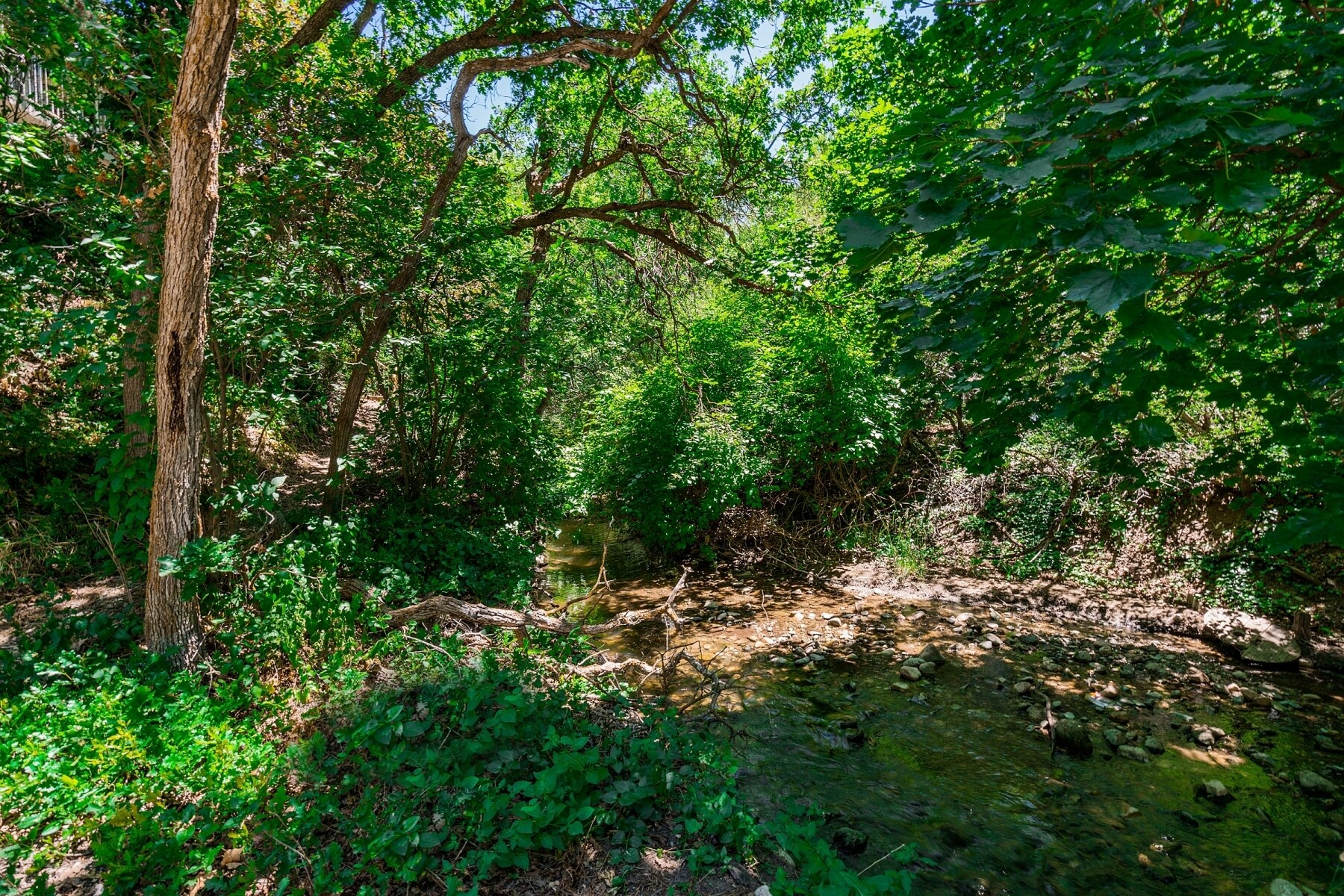 Building Photo - 450 E Mill St S