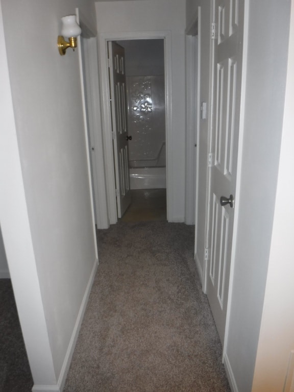 Interior Photo - Hickory Hollow