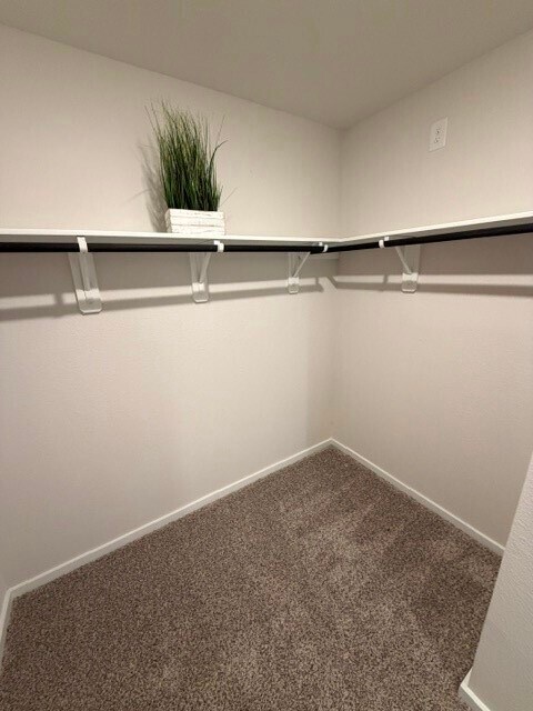 Building Photo - 11627 Ruffian Dr