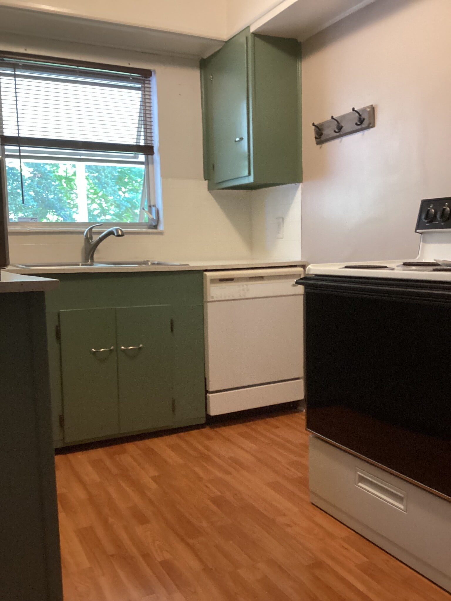 Kitchen - Sink View - 4128 12th Ave N