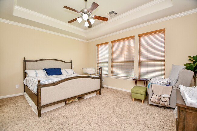 Building Photo - 4302 Trinity Creek Ct