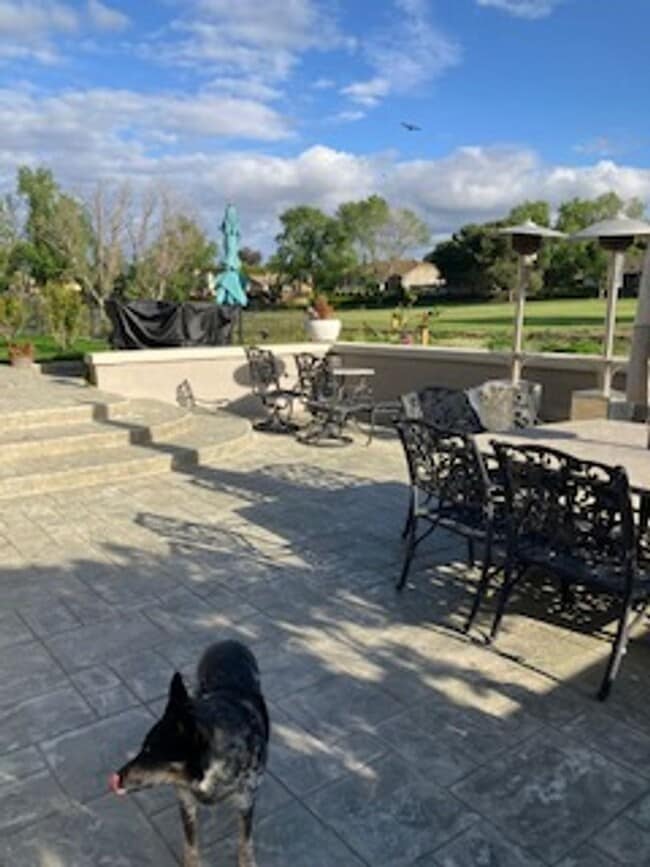 Building Photo - 4 Bedroom, 3 Bath Home in Ridgemark Golf & Country Club