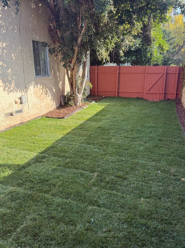 Large enclosed backyard - 607 N Rosemary Ln