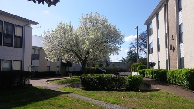 Building Photo - 246 White Bridge Rd