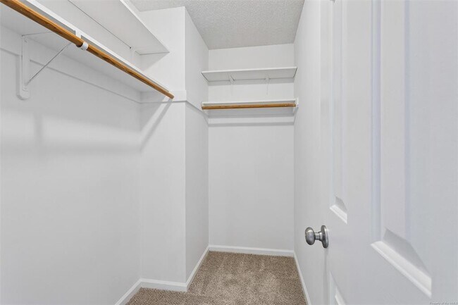 Building Photo - 5306 Aden Ct