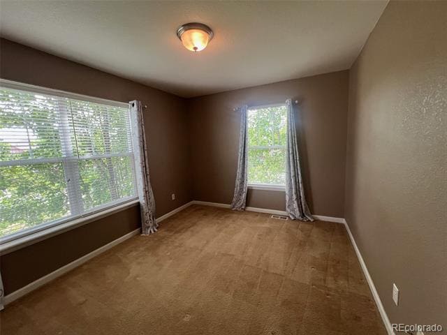 Building Photo - 11259 S Cedar Gulch Ln