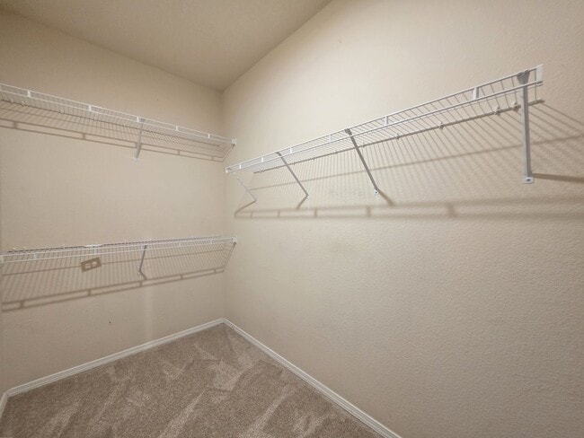 Building Photo - 4363 San Benito St