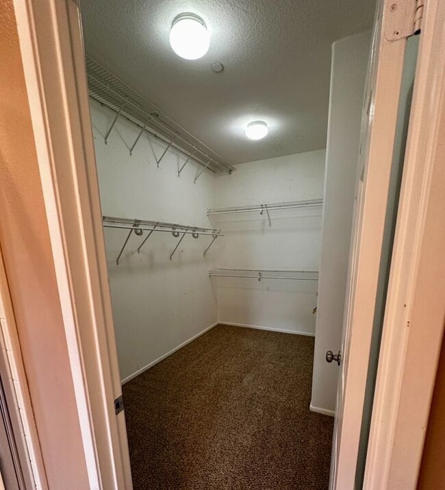 Building Photo - 11500 Park Trails Ct