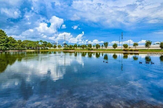 Building Photo - 1400 Gandy Blvd N