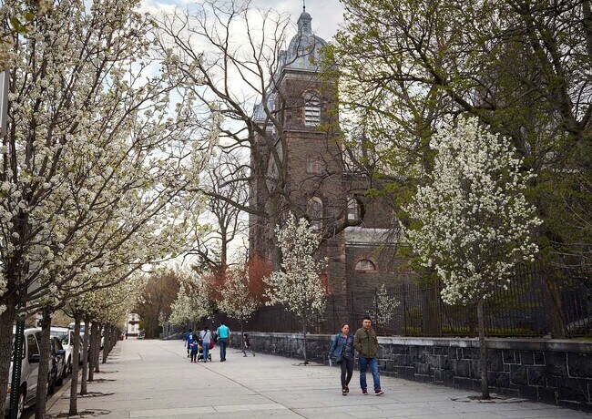 Building Photo - 620 38th St