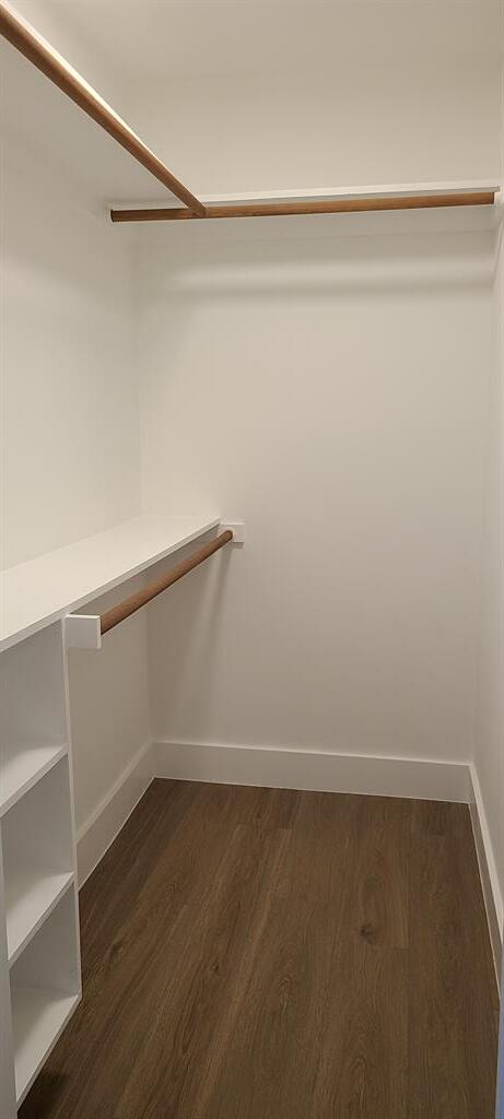 Building Photo - 1723 Lakeway Blvd