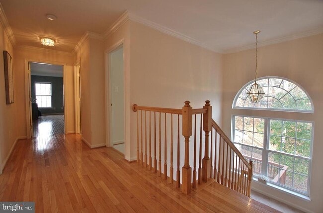 Building Photo - 15417 Duckling Pl