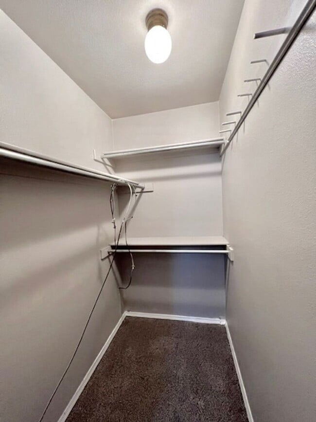 Building Photo - 3 Bedroom 1.5 Bath Home in Briargate with ...