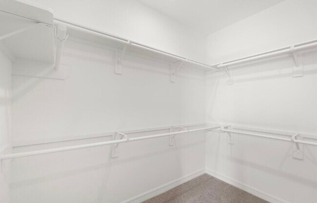 Building Photo - 2912 Clf Rdg Ln