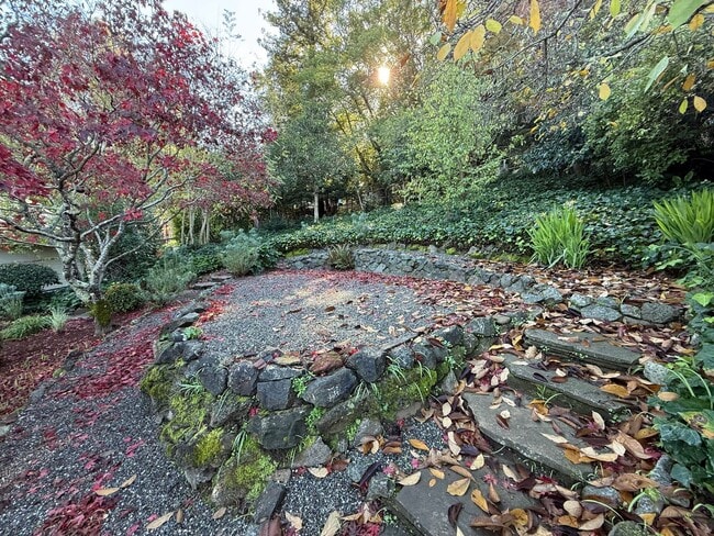 Building Photo - THREE BEDROOM /TWO BATH HOME, JUST A FEW BLOCKS FROM DOWNTOWN LARKSPUR