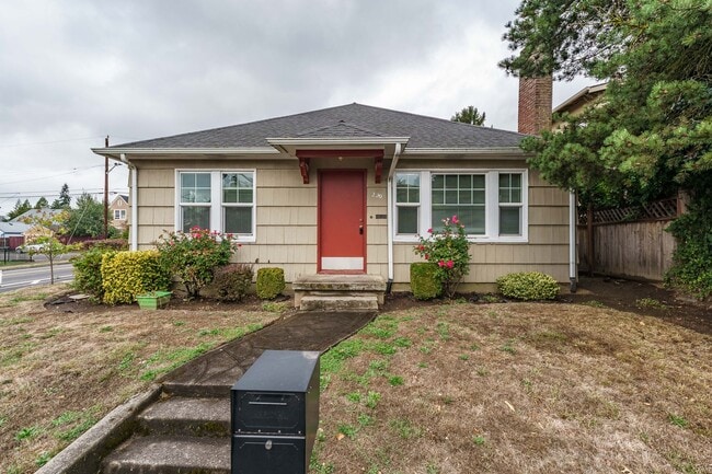 Primary Photo - Rushbanks