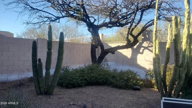 Building Photo - 11064 E Oberlin Way