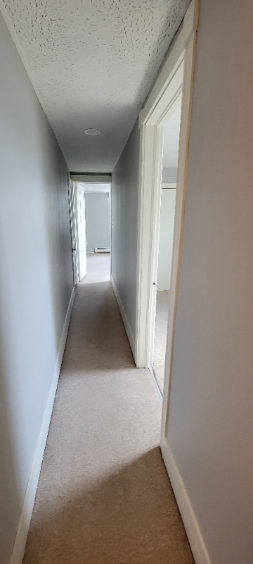 Building Photo - 2827 Horseshoe Pike