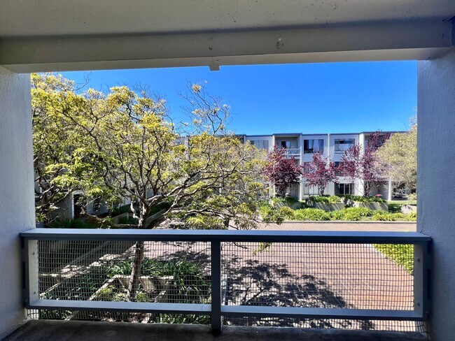 Building Photo - Large sunny 1 bedroom with lush courtyard ...