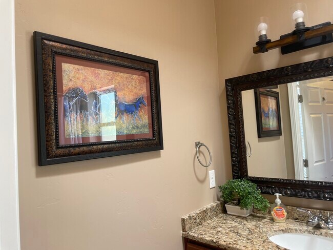 Master Bath - Granite Countertops - 1935 Mercury Ln