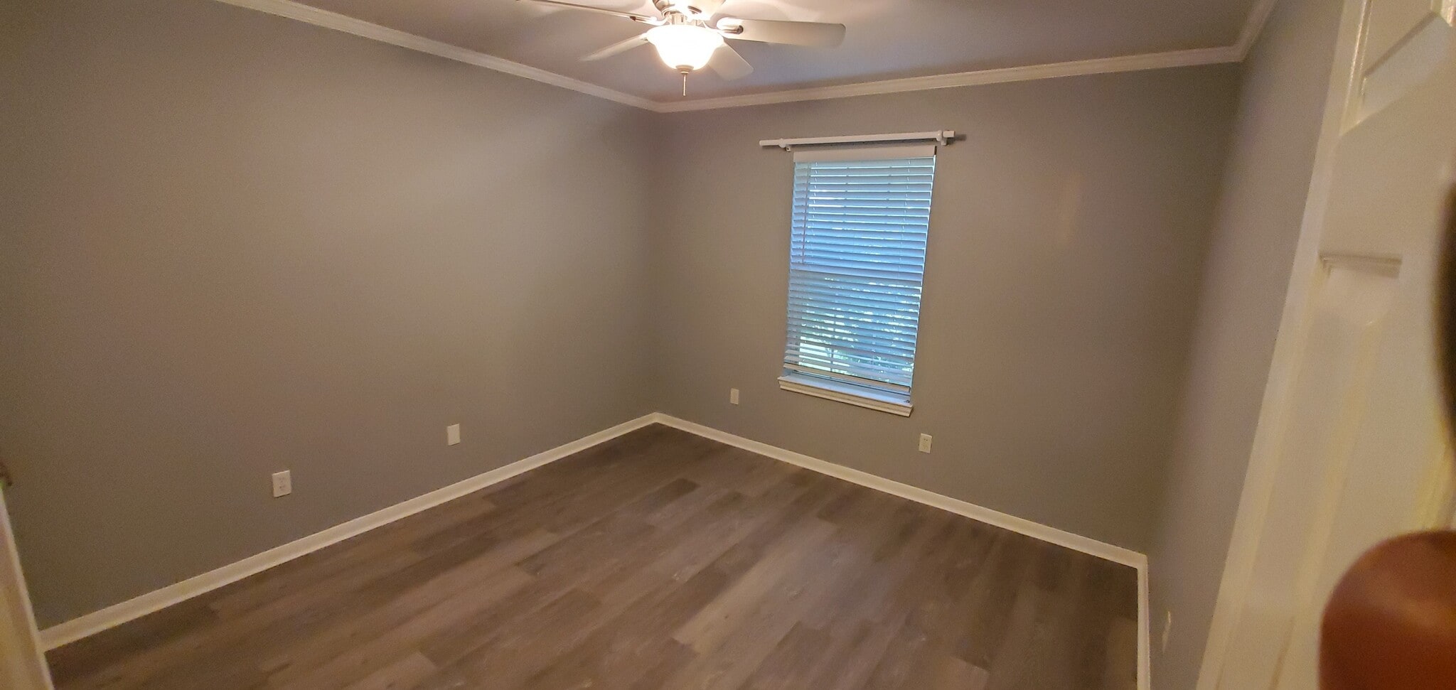 Building Photo - 521 Celeste Dr