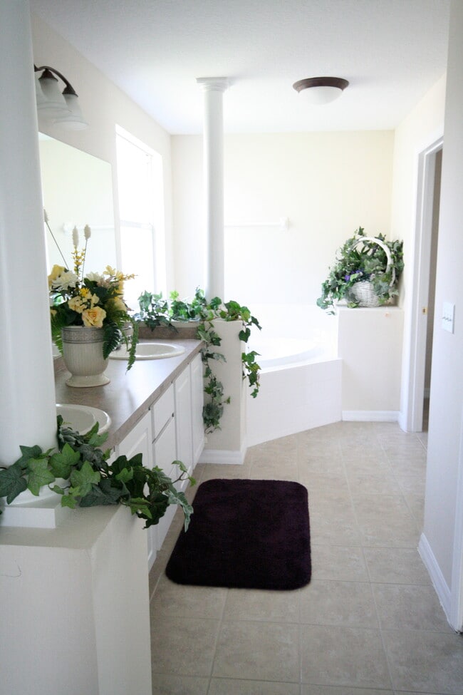 Building Photo - 2675 Emerald Lake Ct