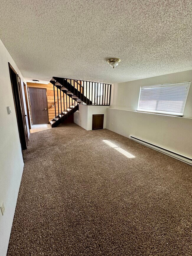 Lower Family Room - 13409 E 8th Ave