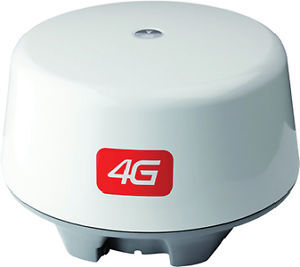 House - 7706 Spruce Street