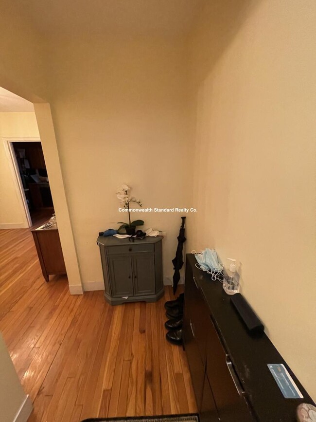 Building Photo - 1 bedroom in Brighton MA 02135