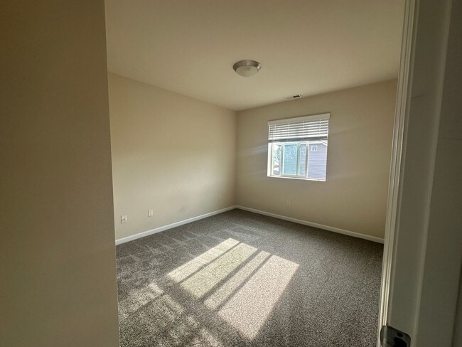 Building Photo - New carpet installed in summer