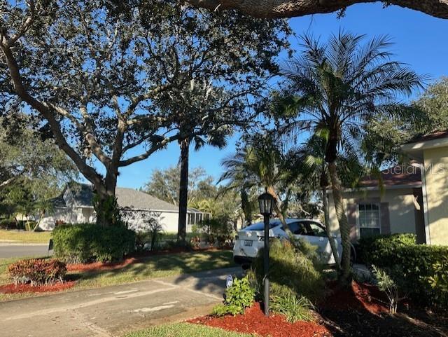 Building Photo - 12303 Hollybush Terrace