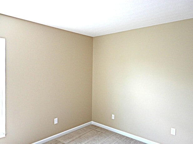 Building Photo - 6607 Thistle Grove