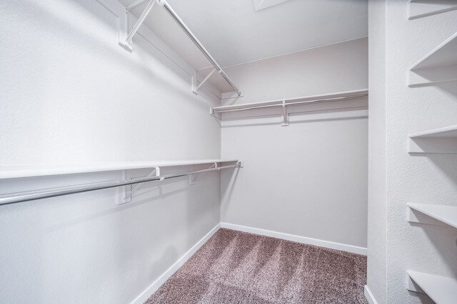 Building Photo - Available Now! "Spacious 3-Bedroom Home with 2.5 Bathrooms in Parker – 3479 Sq. Ft. of Comfortabl...