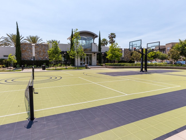 Building Photo - 5423 Ocean