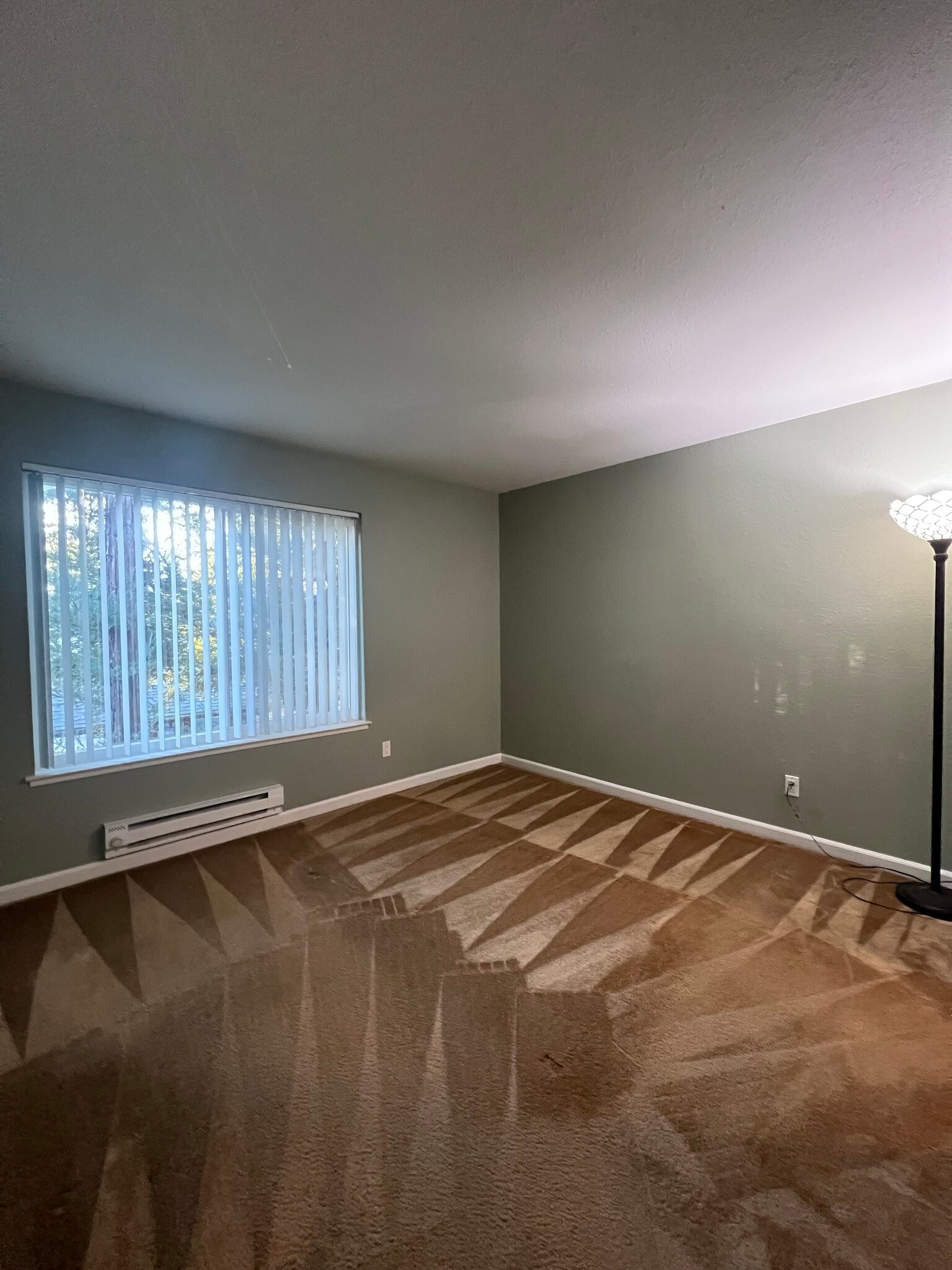 Building Photo - 820 Catkin Ct