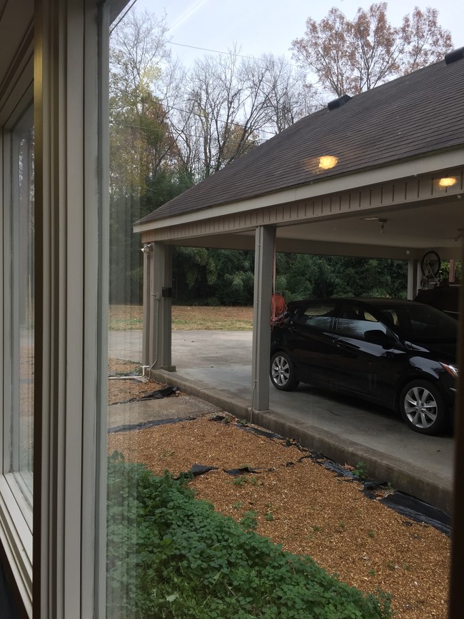 View of Carport (from living room) - 124 Clark St