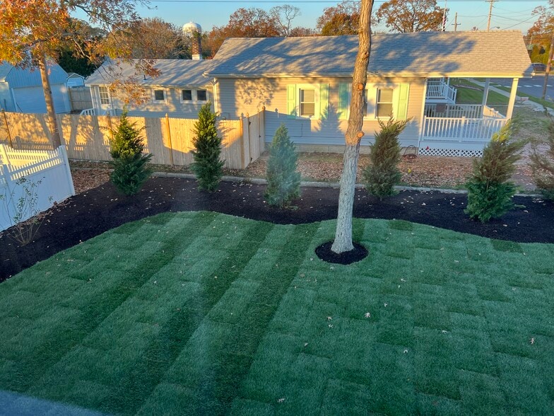 Brand new landscaping, newly sodded lawn, more plantings in backyard coming in Spring 2024 - 749 1st St