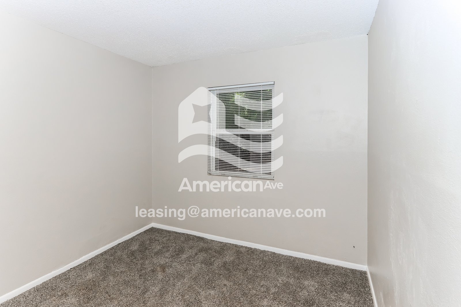 Building Photo - 245 Ward St