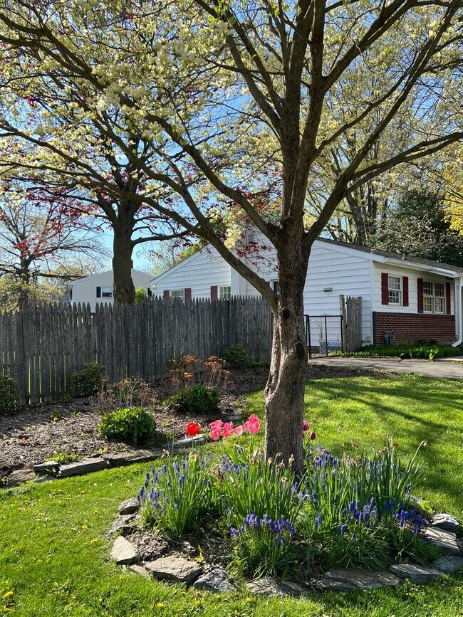 Building Photo - Beautiful 3 BD, 1 BA Lititz Home!
