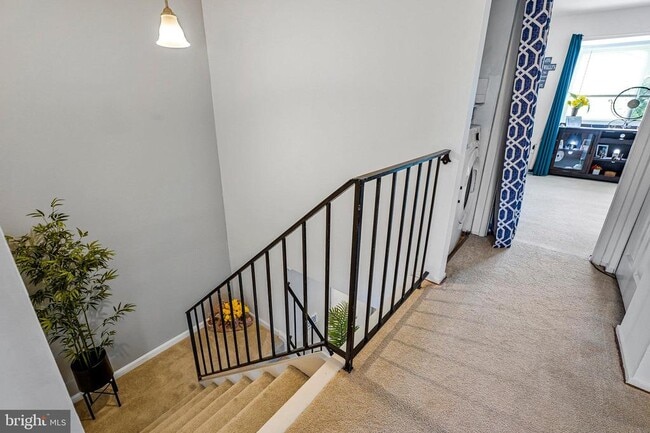 Building Photo - 7520 Clemson Ct